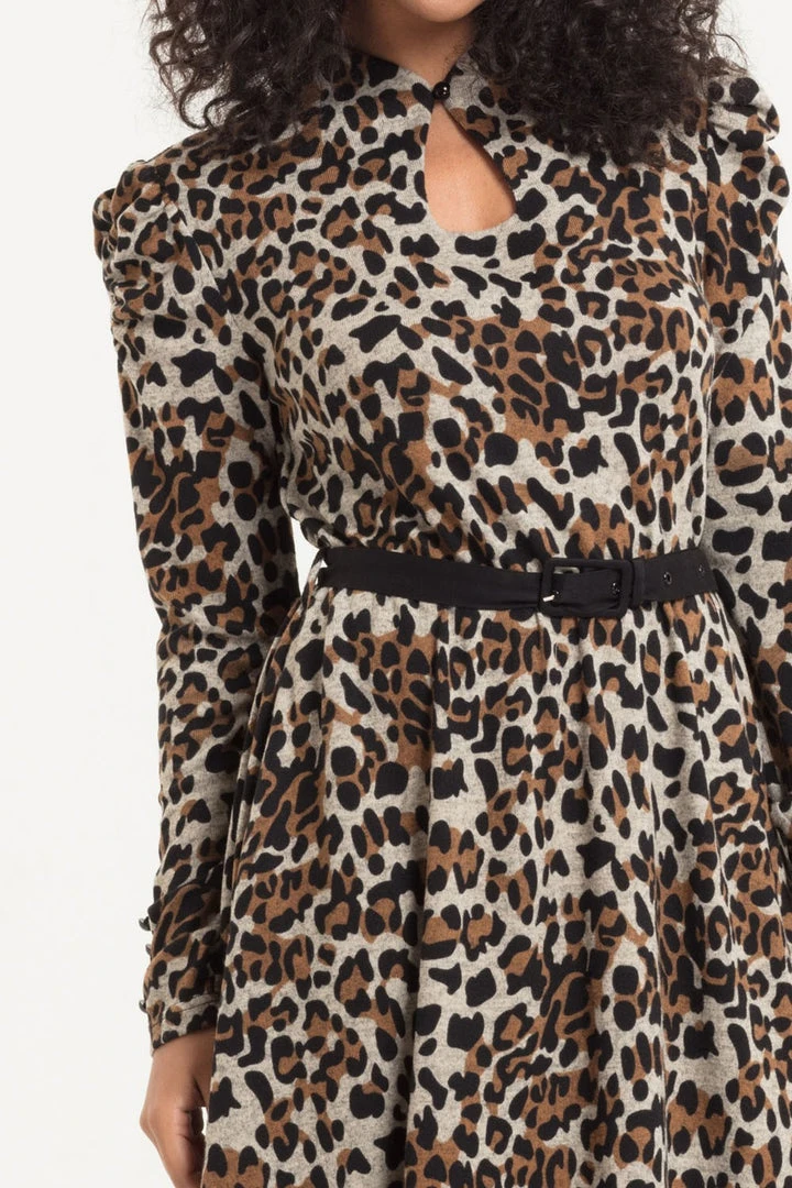 Voodoo Vixen Dita Leopard Print Dress 5 Voodoo Vixen Dita Leopard Print Dress