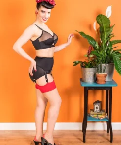 What Katie Did Red Seamed Stockings